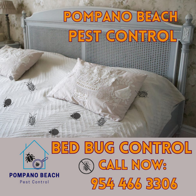 Bed Bug Control Pompano Beach | Effective & Eco-friendly Solutions
