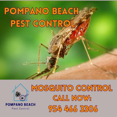Effective Mosquito Control Services in Pompano Beach